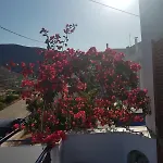Chrysa House 2*
