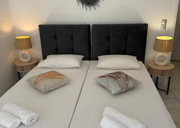 Chrysa House 酒店 卡马莱